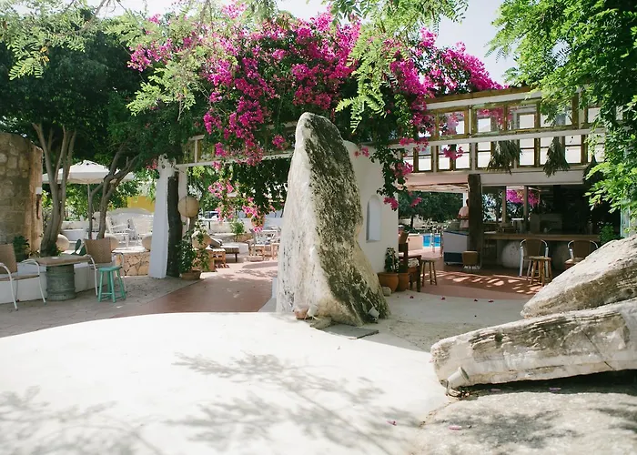 公寓 戈尔戈纳一室公寓 *