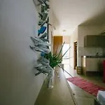 Gorgona