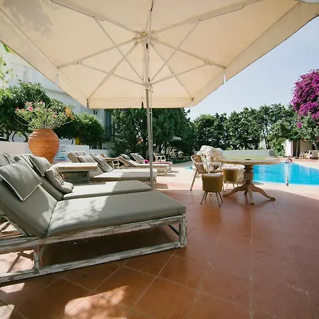Apartment Gorgona