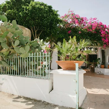 Gorgona Apartment